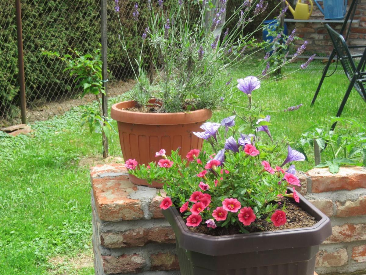 Mill House Apartment And Camping Ljutomer ภายนอก รูปภาพ