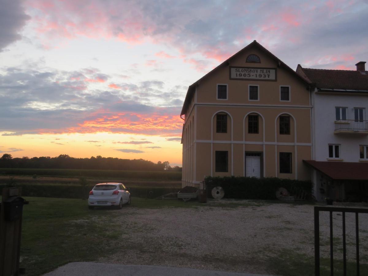 Mill House Apartment And Camping Ljutomer ภายนอก รูปภาพ