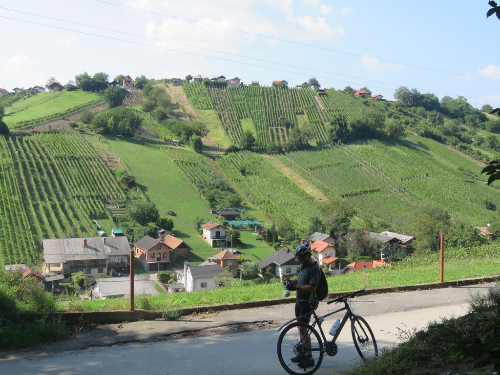 Mill House Apartment And Camping Ljutomer ภายนอก รูปภาพ