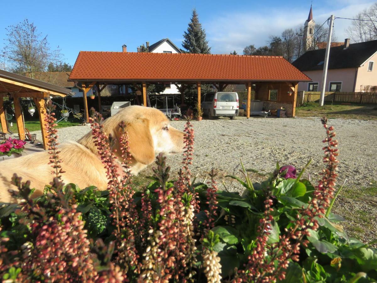 Mill House Apartment And Camping Ljutomer ภายนอก รูปภาพ